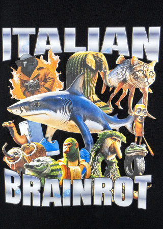Koszulka dziecięca Italian Brainrot – modny styl dla dzieci