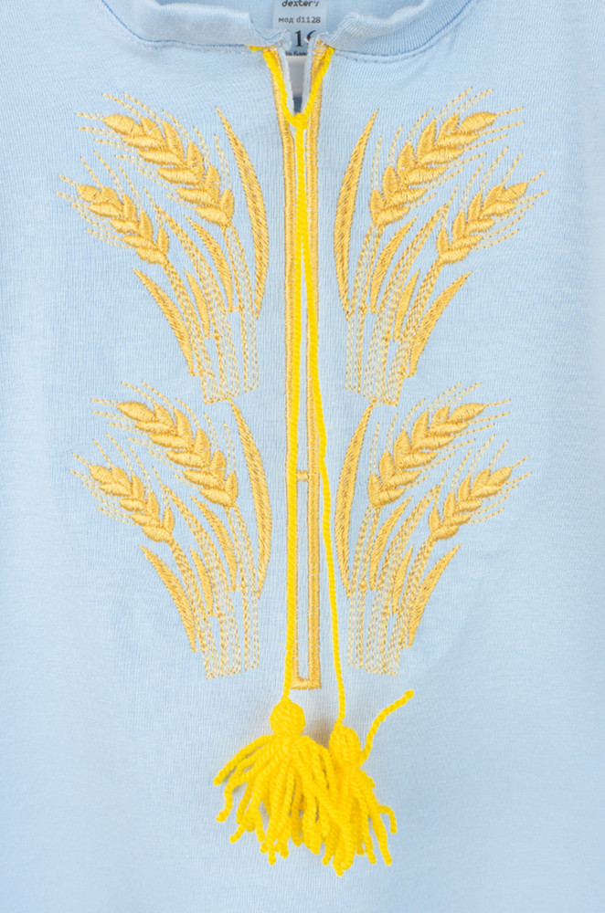 Boys T-shirt with patriotic embroidery