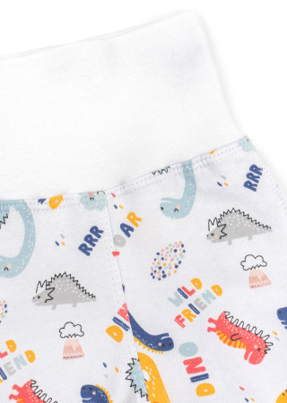 Baby Clothing Set with Dinosaur Print