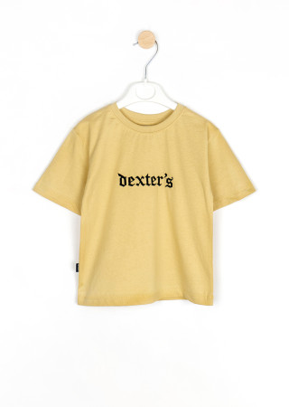 Kids set Dexter’s embroidered T-shirt and shorts kulir