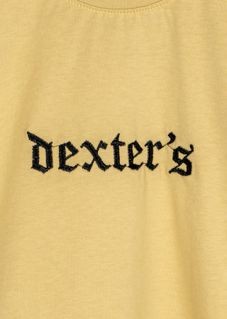 Kids set Dexter’s embroidered T-shirt and shorts kulir
