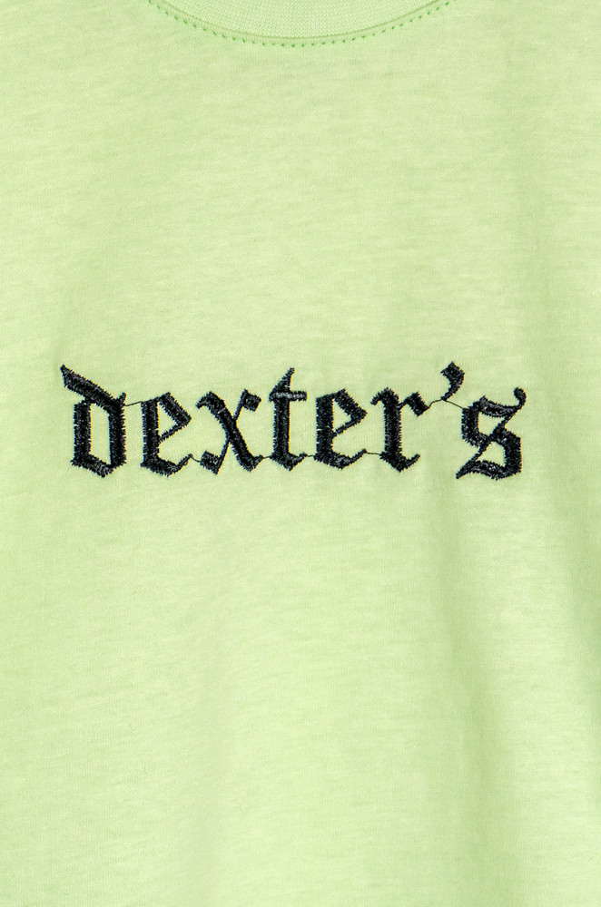 Детский летний комплект из кулира: футболка с вышивкой и шорты Dexter's