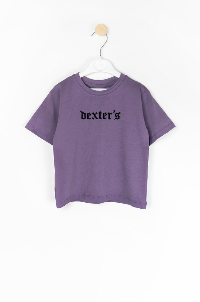 Детский комплект на лето Dexter's: футболка и шорты из двунитки