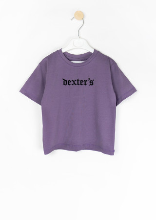 Детский летний комплект Dexter's — футболка и шорты