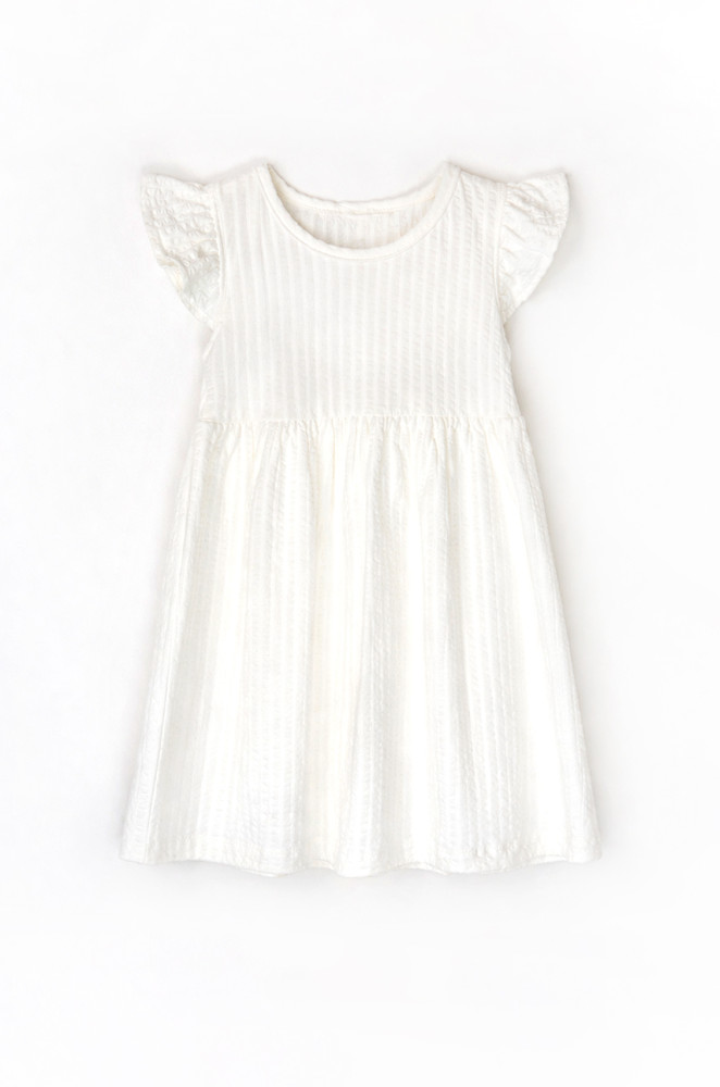 Girls Dress with Flutter Sleeves